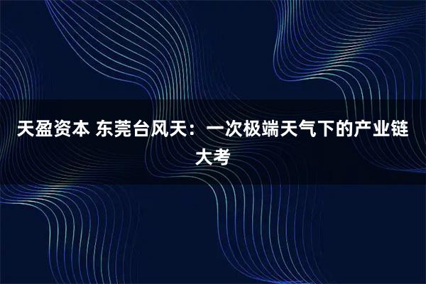 天盈资本 东莞台风天：一次极端天气下的产业链大考