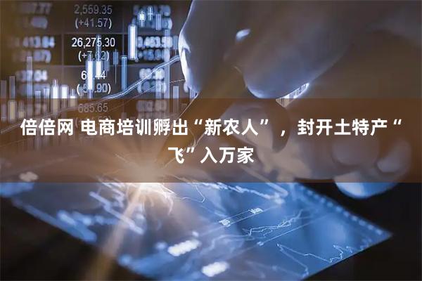 倍倍网 电商培训孵出“新农人” ,封开土特产“飞”入万家