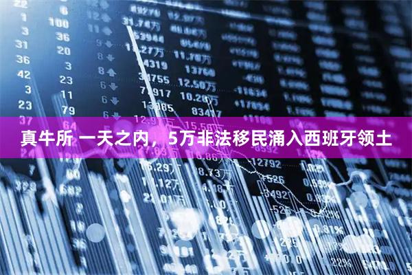 真牛所 一天之内，5万非法移民涌入西班牙领土